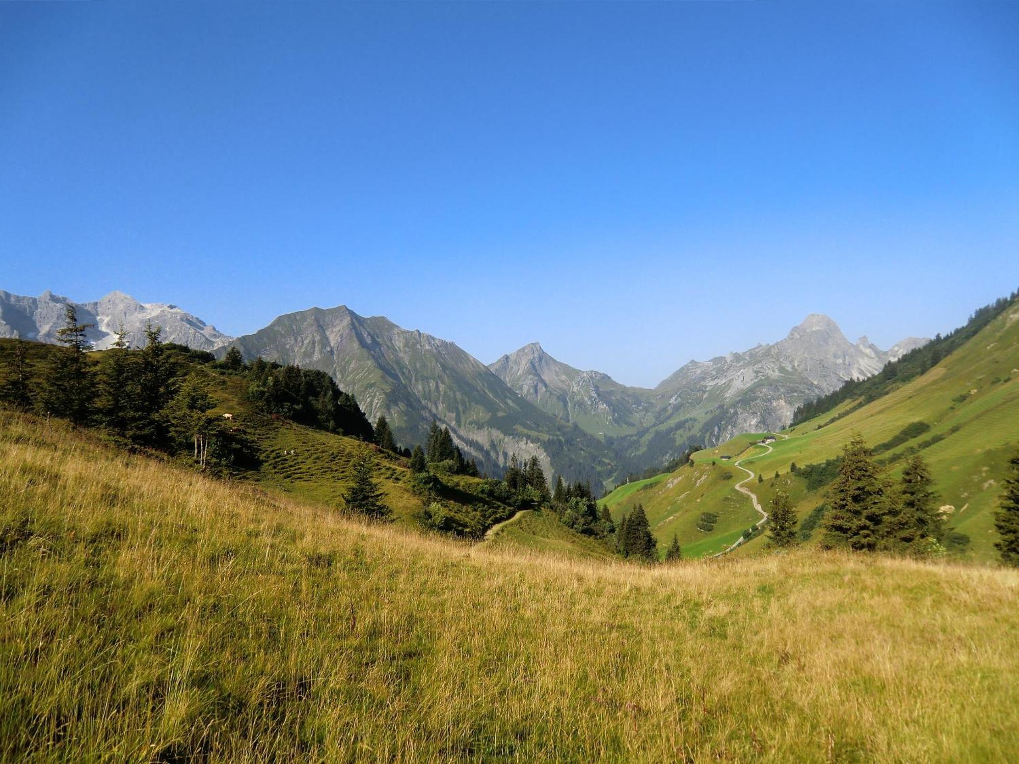 Апартаменты Haus Rothorn Шрёккен Экстерьер фото